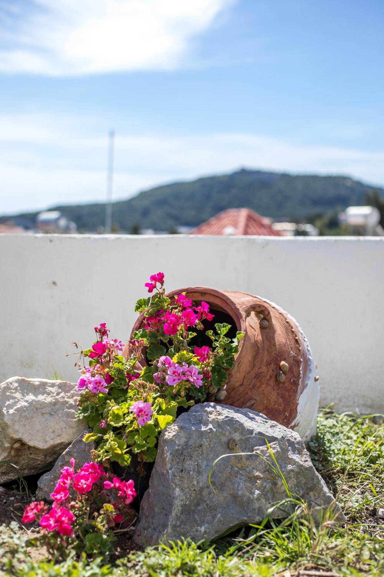 Sunny Villa Faliraki Bagian luar foto